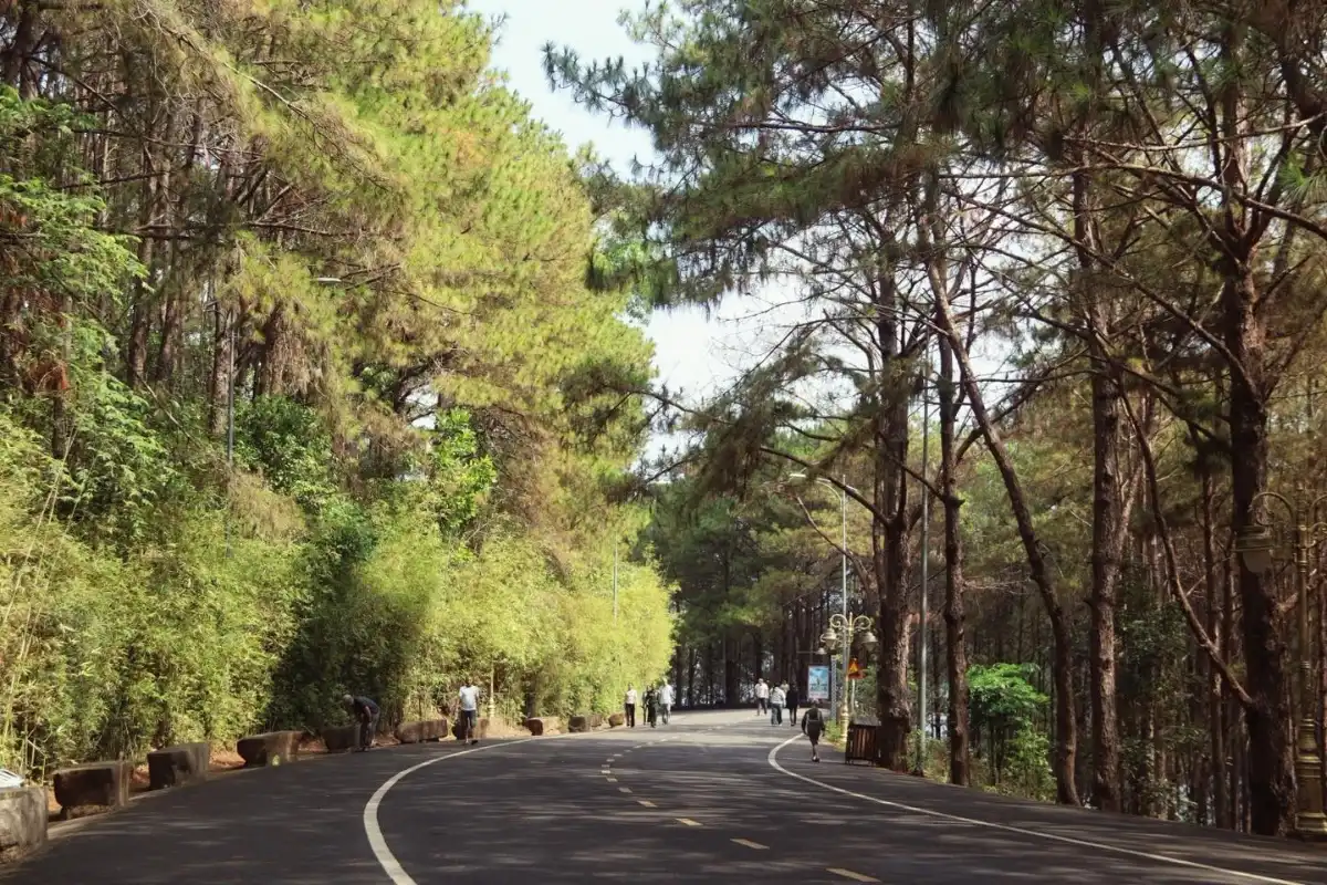 Gia Lai định vị lại du lịch, kích hoạt trục biển – cao nguyên